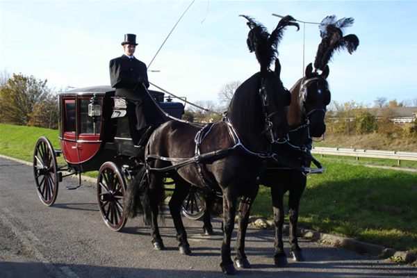 Albins Fleet - Mourners Carriage